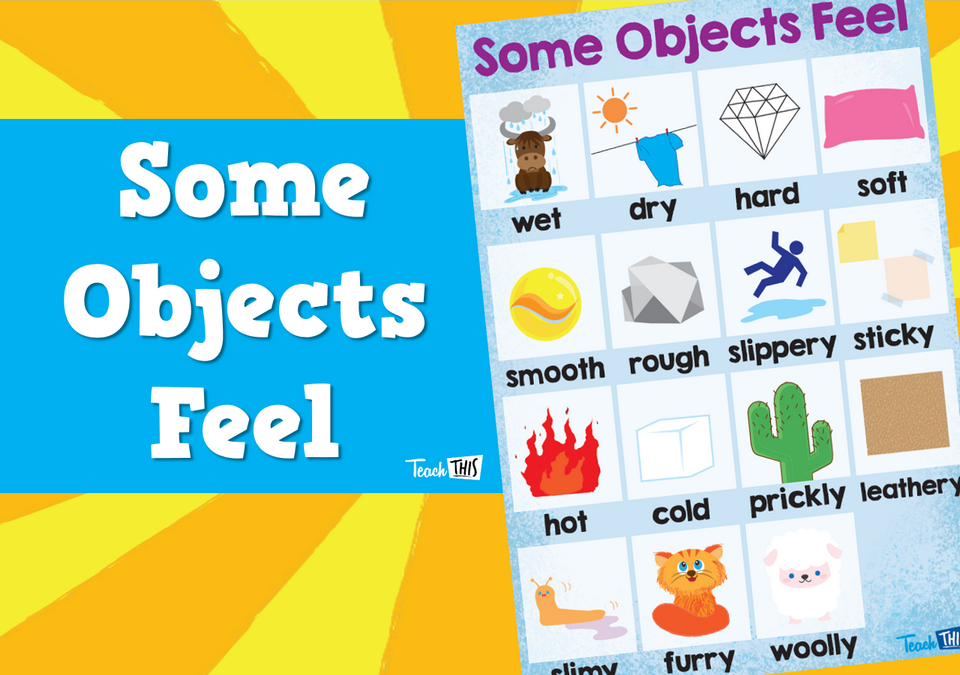 Some Objects Feel Teacher Resources and Classroom Games Teach This